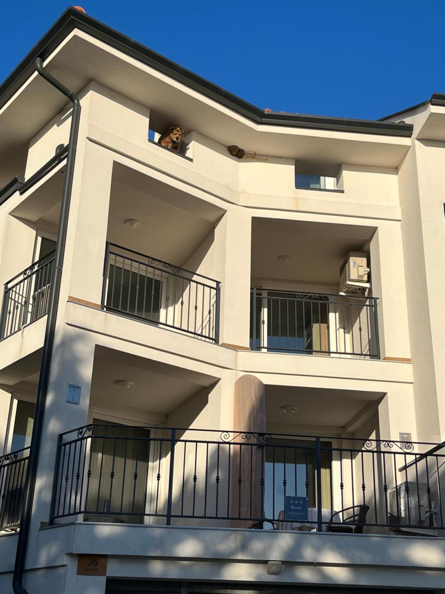 Apartments Amore باشْكا المظهر الخارجي الصورة